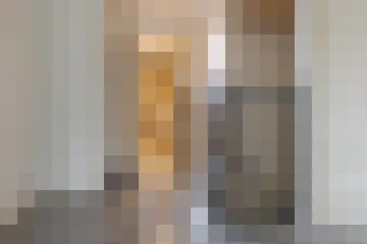 Herautstraat 61 Zwolle thumbnail 36