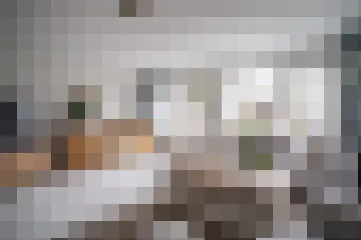 Herberg 117 Leidschendam thumbnail 19