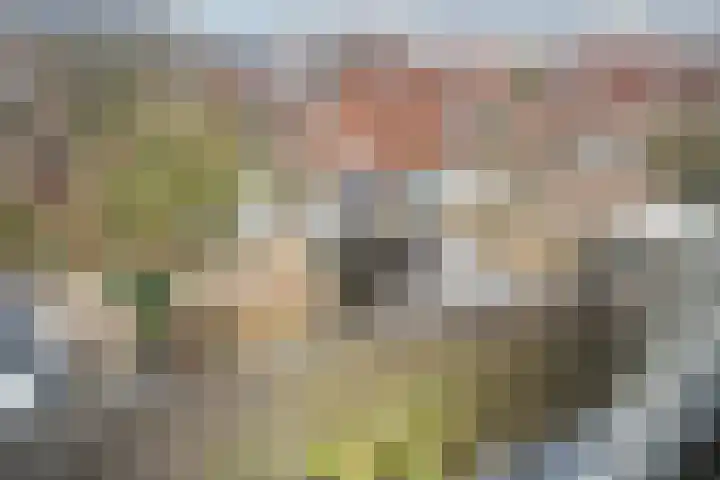 Herberg 117 Leidschendam thumbnail 51