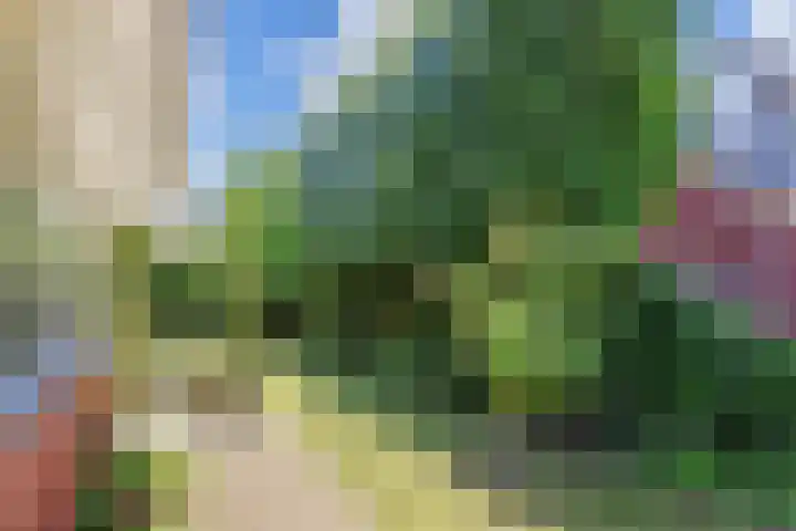 Hercules 10 Nootdorp thumbnail 46