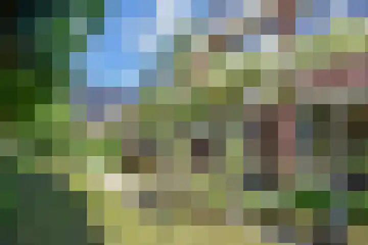 Hercules 10 Nootdorp thumbnail 48
