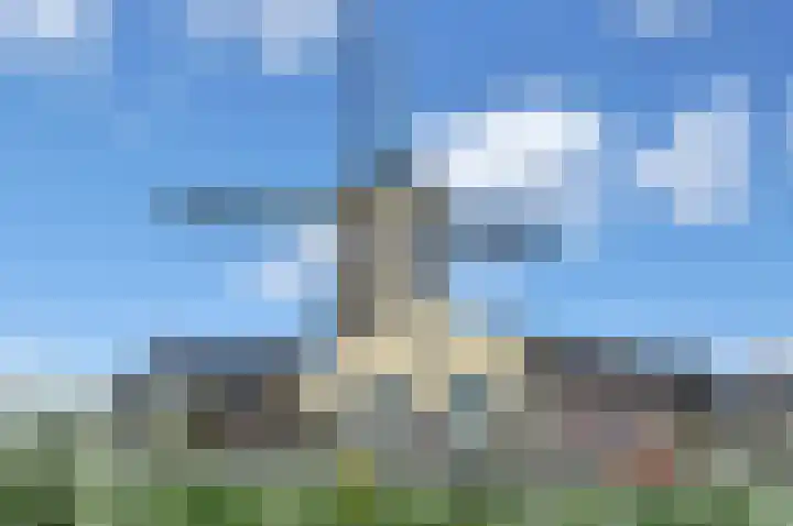 Hercules 10 Nootdorp thumbnail 67