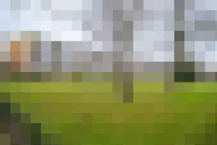 Herculesstraat 148 Enschede