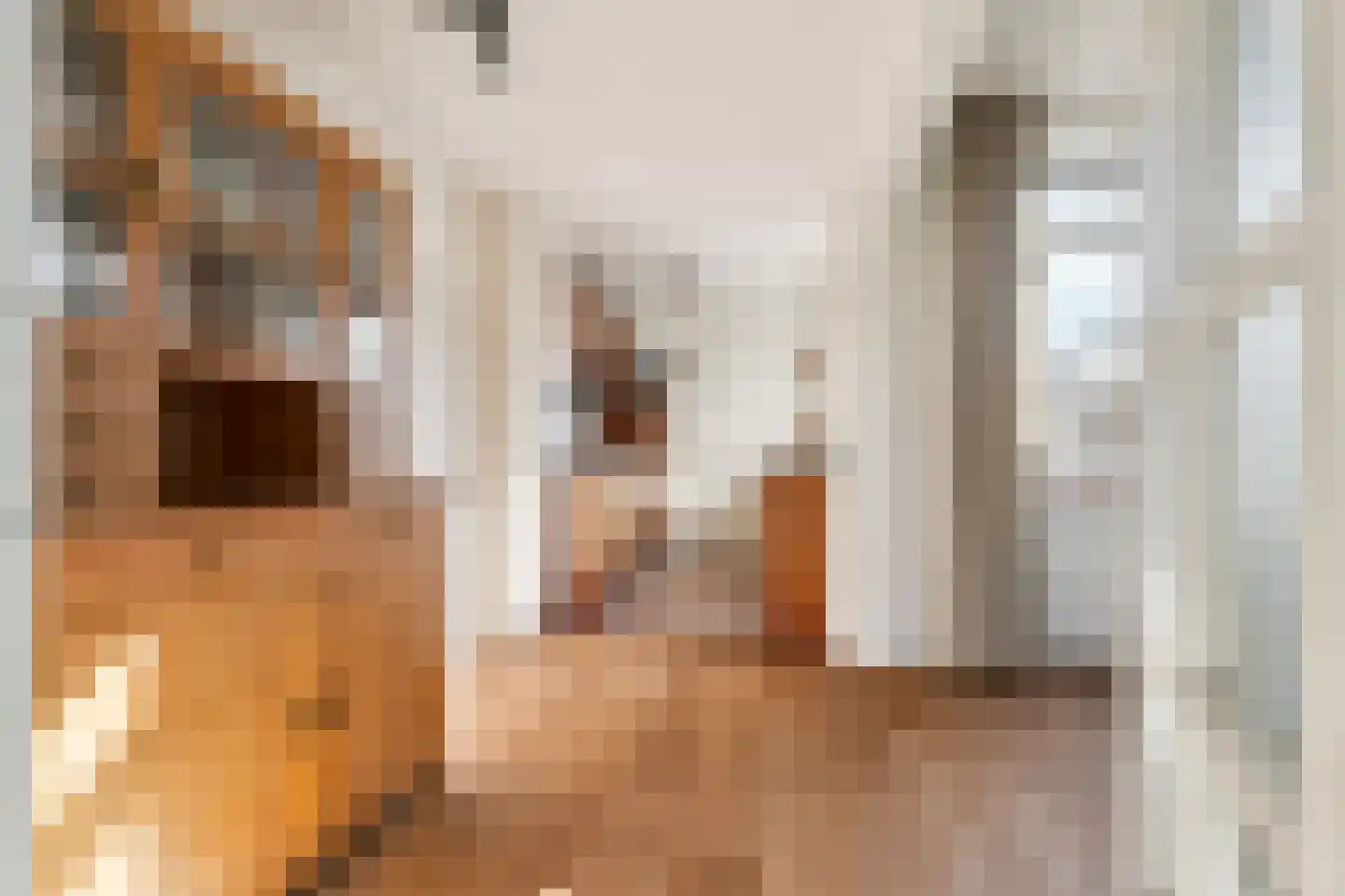 Herdenkingsstraat 42 Weurt thumbnail 14