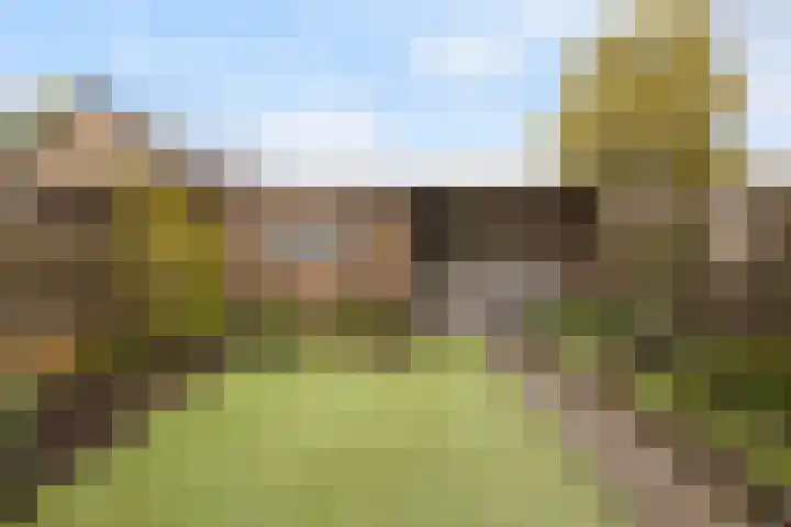 Herderlaan 19 Ermelo thumbnail 35