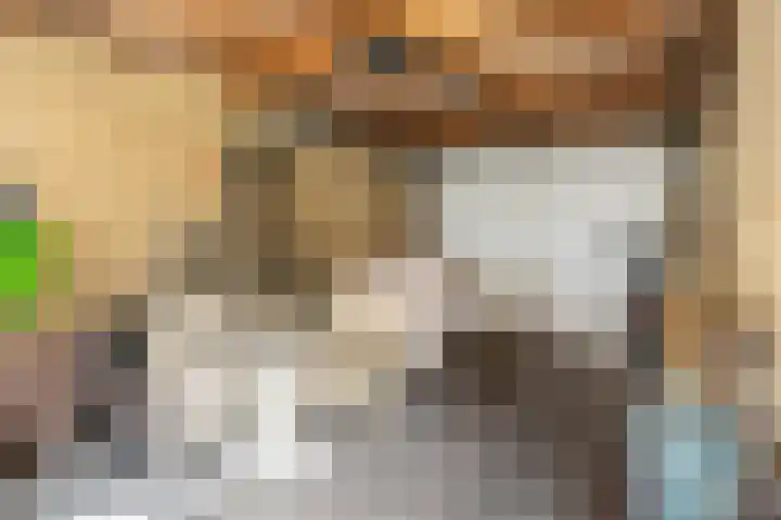 Herderlaan 19 Ermelo thumbnail 39