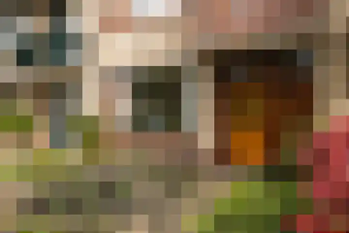 Herderlaan 19 Ermelo thumbnail 4