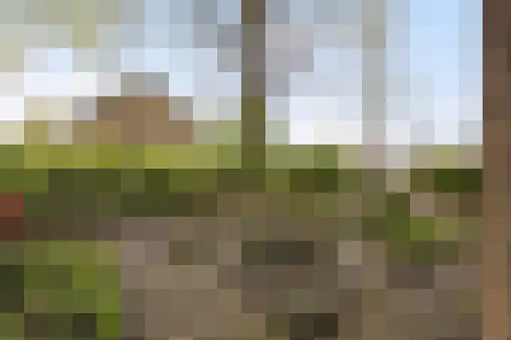 Herderlaan 19 Ermelo thumbnail 42
