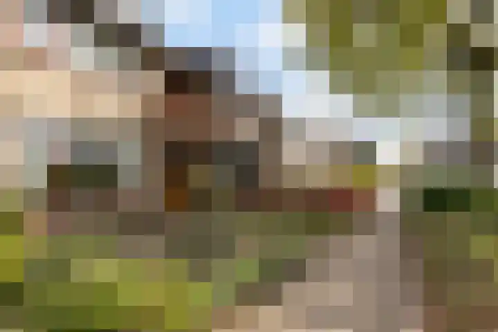 Herderlaan 19 Ermelo thumbnail 43