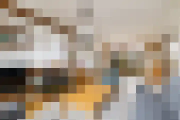 Herderlaan 19 Ermelo thumbnail 8