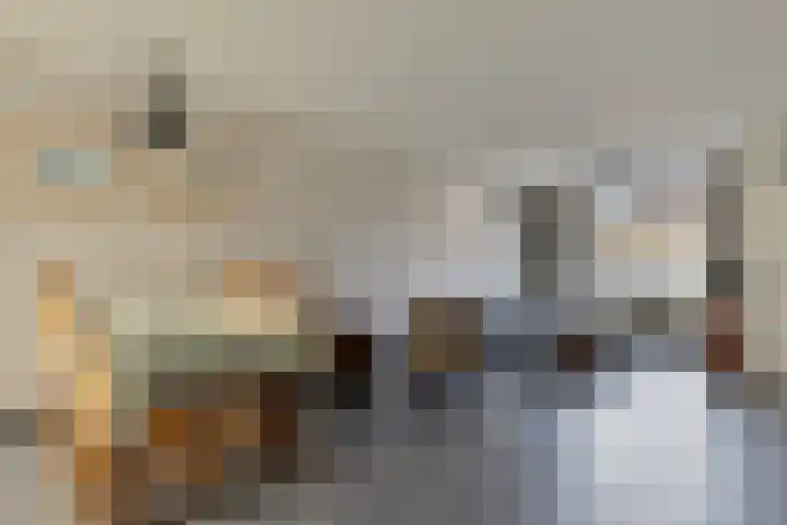 Herderstasje 14 Venray thumbnail 10