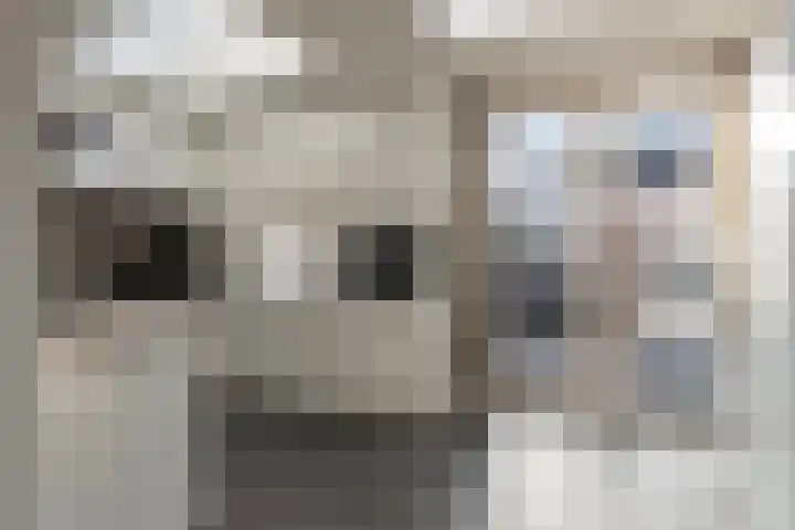 Herderstasje 14 Venray thumbnail 13