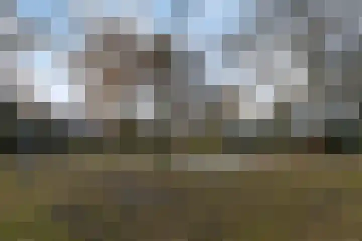 Herderstasje 14 Venray thumbnail 4