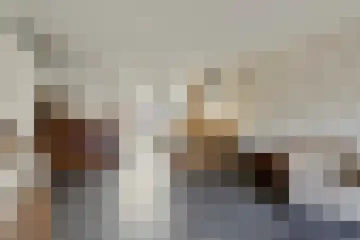 Herderstasje 14 Venray thumbnail 9