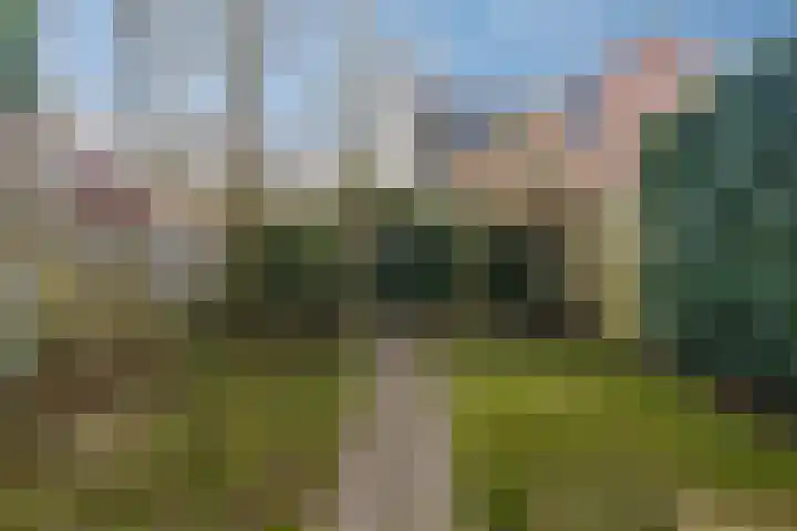 Herdersveld 52 Geldrop thumbnail 21