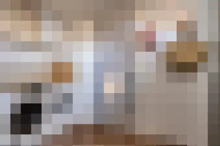 Herdersveld 52 Geldrop thumbnail 23