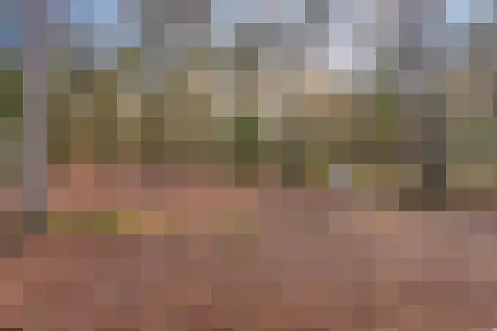 Herdersveld 52 Geldrop thumbnail 28