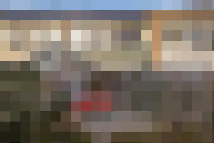 Herdersveld 52 Geldrop thumbnail 4