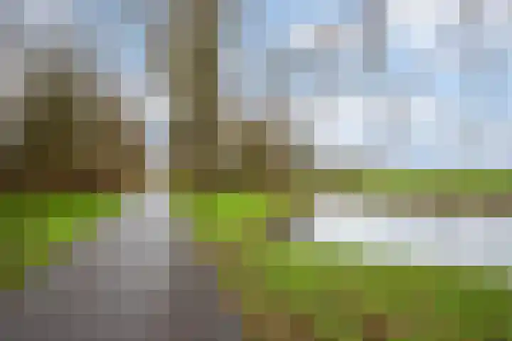 Herdersveld 60 Geldrop thumbnail 27