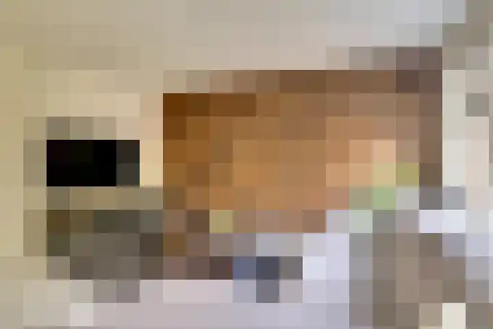Herdersveld 60 Geldrop thumbnail 49