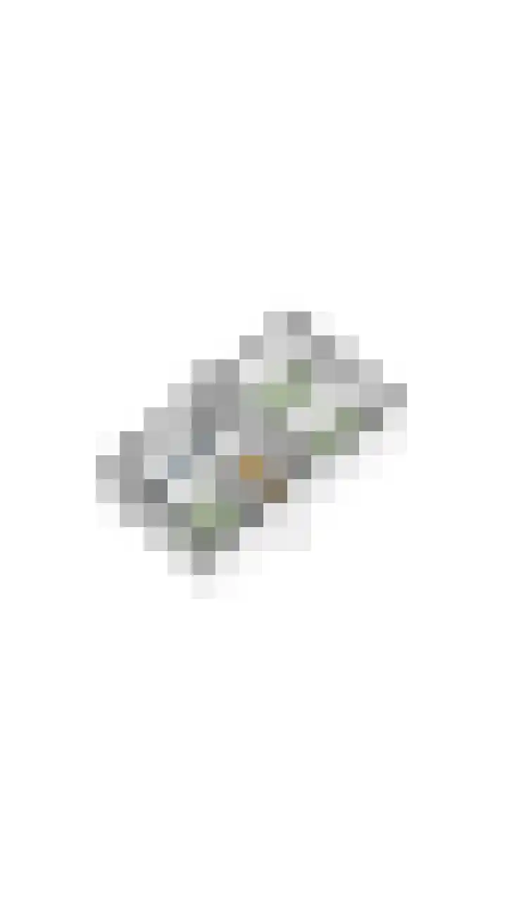 Herdersveld 60 Geldrop thumbnail 50