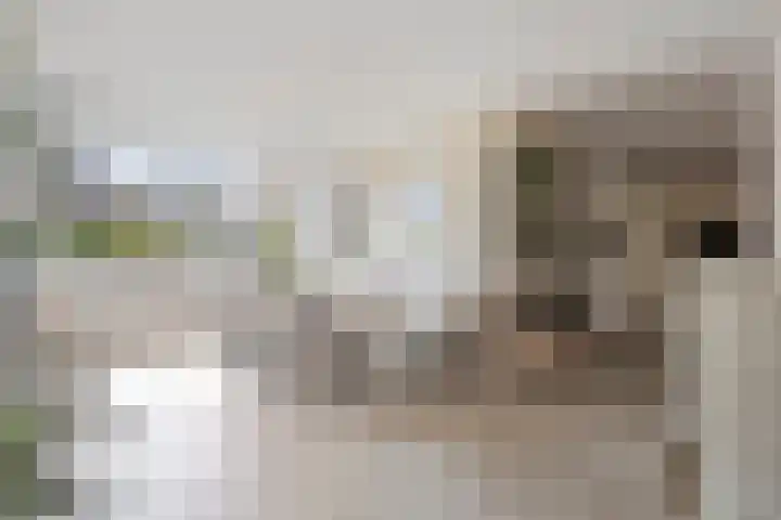 Herdersveld 97 Geldrop thumbnail 14