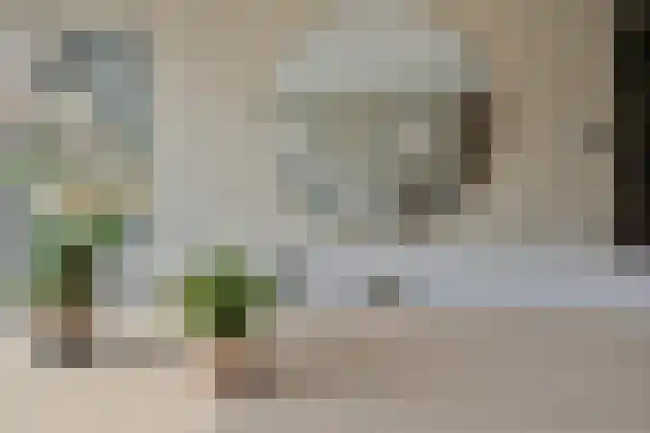 Herdersveld 97 Geldrop thumbnail 15