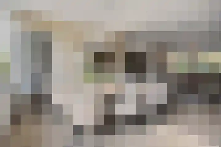 Herdersveld 97 Geldrop thumbnail 16