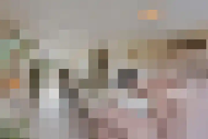 Herdersveld 97 Geldrop thumbnail 21
