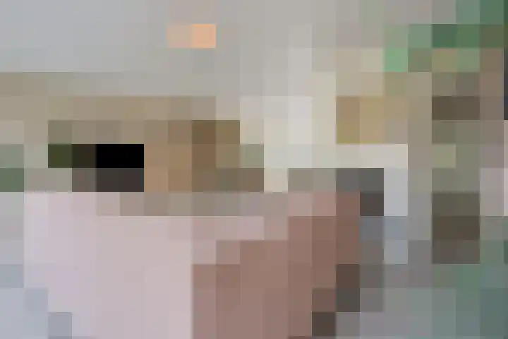 Herdersveld 97 Geldrop thumbnail 23