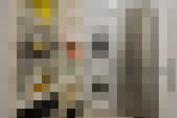 Herdersveld 97 Geldrop thumbnail 32