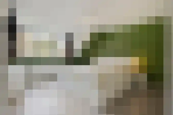 Herdersveld 97 Geldrop thumbnail 35