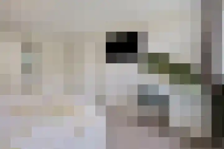 Herdersveld 97 Geldrop thumbnail 36