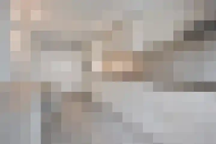 Herdersveld 97 Geldrop thumbnail 4