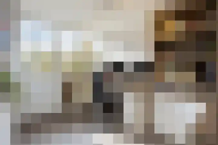 Herdersveld 97 Geldrop thumbnail 43