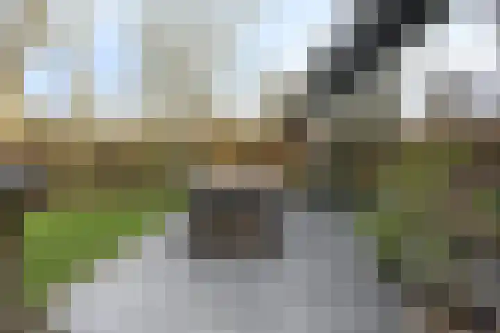 Herdersveld 97 Geldrop thumbnail 55