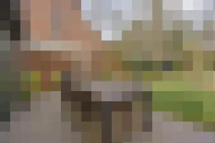 Herdersveld 97 Geldrop thumbnail 56