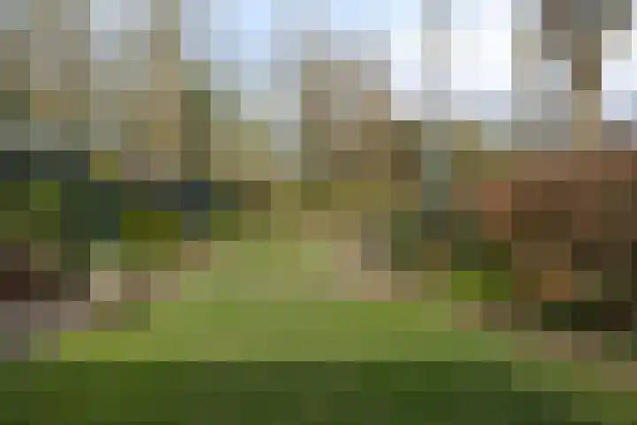 Herdersveld 97 Geldrop thumbnail 58