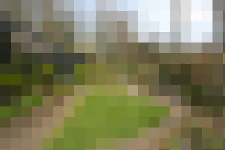 Herdersveld 97 Geldrop thumbnail 59