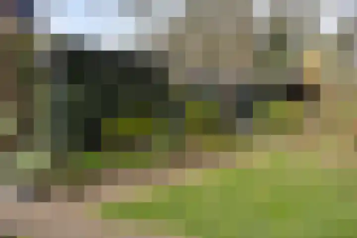 Herdersveld 97 Geldrop thumbnail 60
