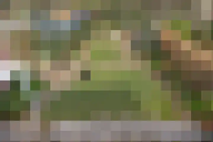 Herdersveld 97 Geldrop thumbnail 62