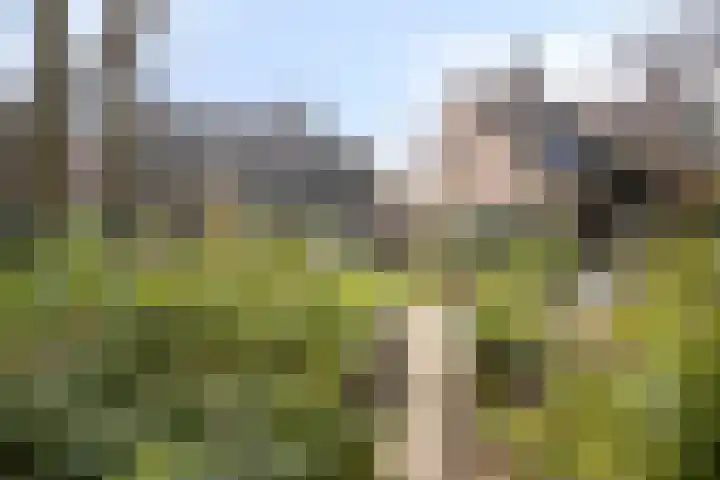 Herdersveld 97 Geldrop thumbnail 64