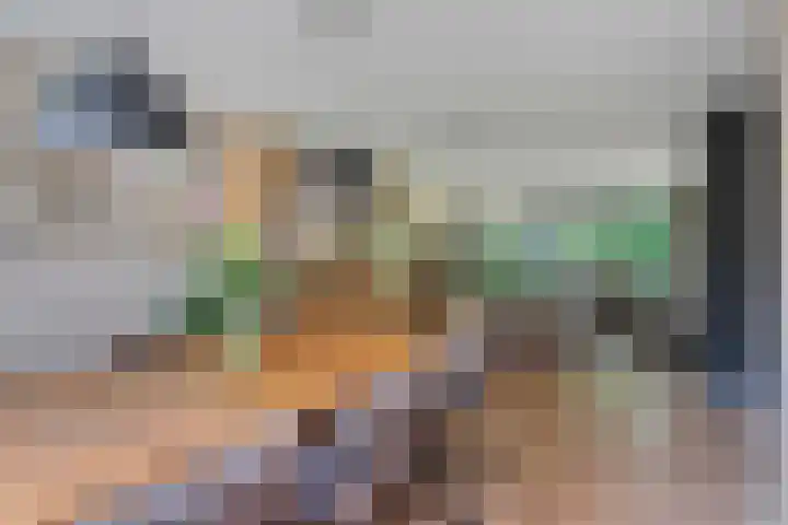 Herdersveld 99 Geldrop thumbnail 10