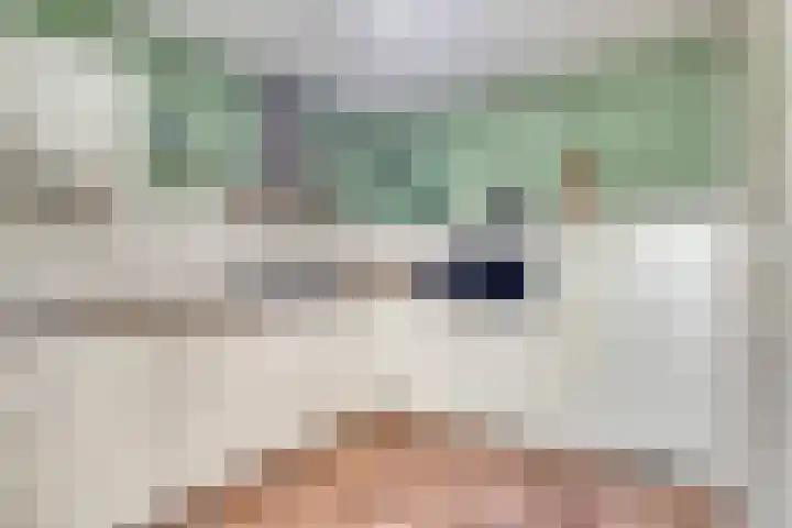 Herdersveld 99 Geldrop thumbnail 17