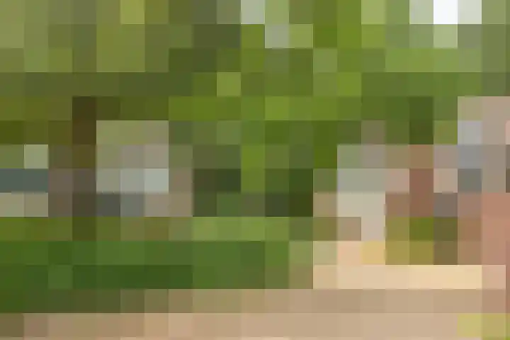 Herdersveld 99 Geldrop thumbnail 40