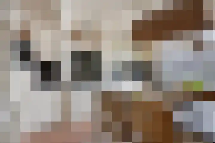 Herelsestraat 130 Heerle thumbnail 13