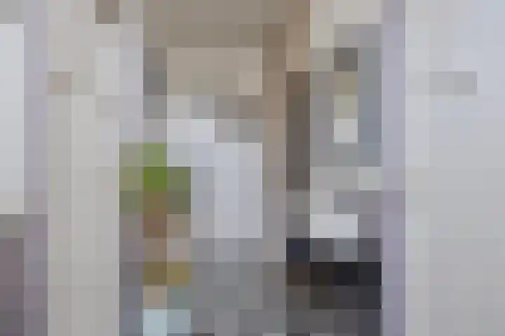 Herelsestraat 130 Heerle thumbnail 7