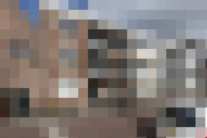 Herengracht 129 c Weesp thumbnail 30