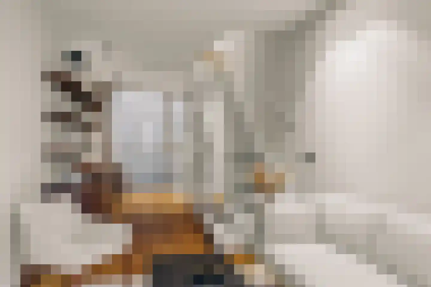 Herengracht 304 Amsterdam thumbnail 17