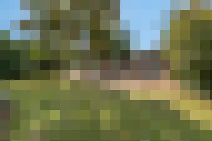 Herenhof 10 Ede thumbnail 48